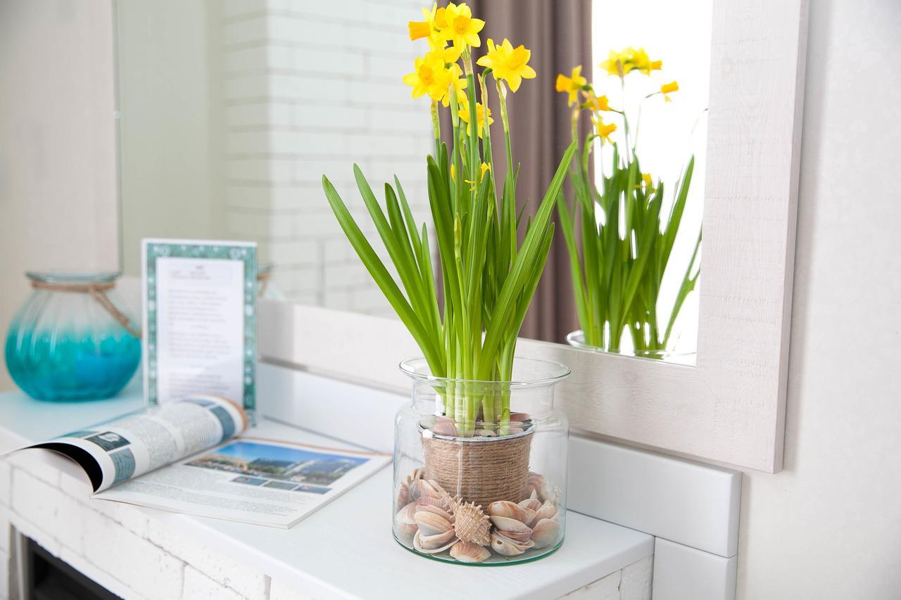 Rent Of Apartments In 카리프 외부 사진